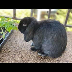 Meet your Posher, Sandra